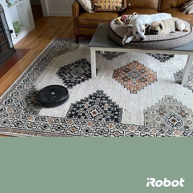 Věnujte se svým oblíbeným činnostem, zatímco my uklízíme.🐶 #Roomba #irobotlove